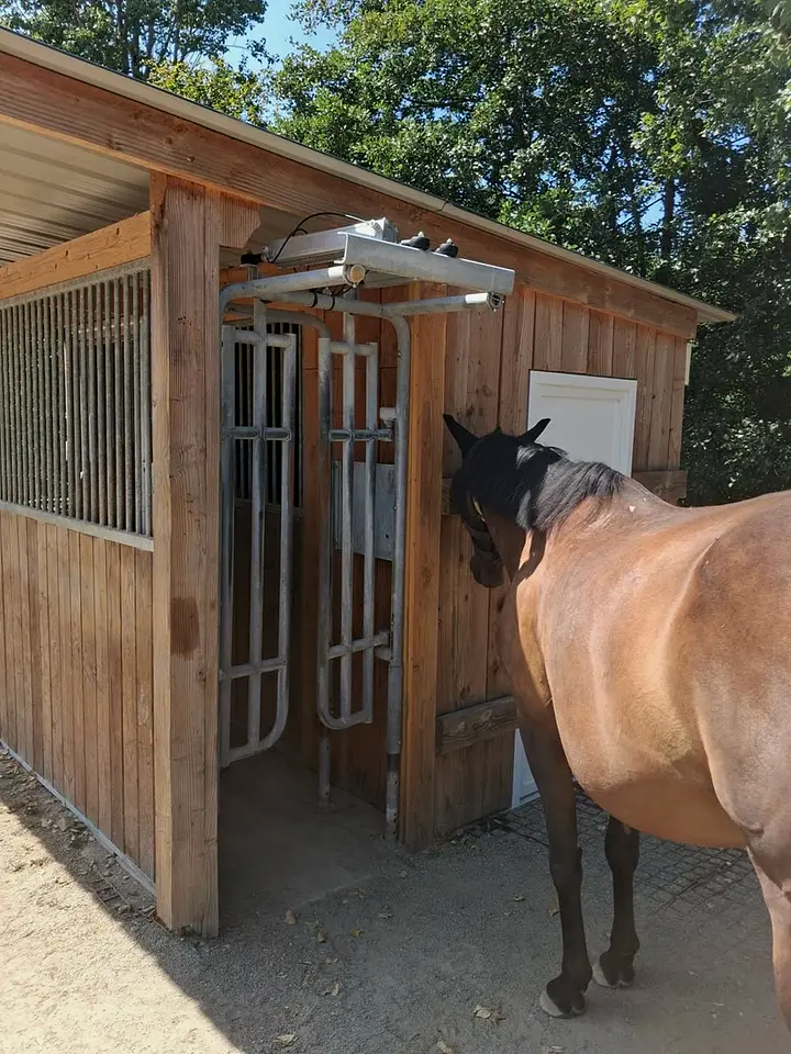 Un cheval devant l’entrée du distributeur automatique de concentrés EquiDAC